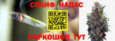 дживик Абинск