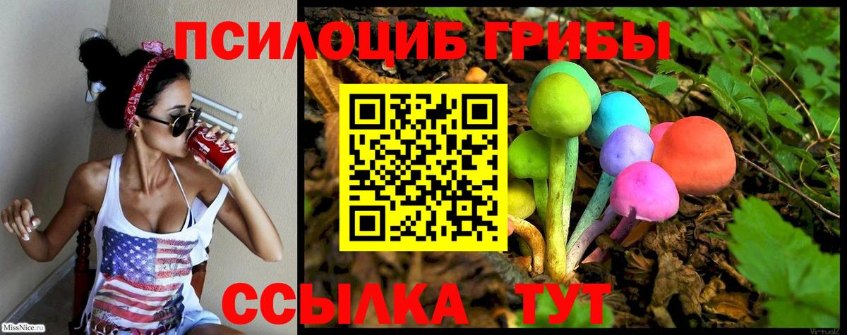 Галлюциногенные грибы Psilocybine cubensis  Вход с VPN  Алушта 