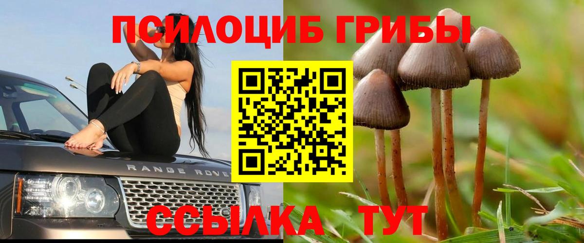 ГАШИШ  Алушта  Вход с VPN  Меф кристаллы  Мефедрон  Конопля  Cocaine  A PVP СК   ЭКСТАЗИ 