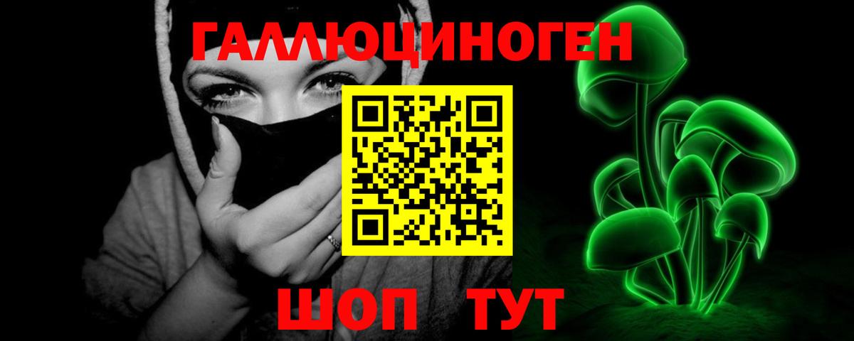 Галлюциногенные грибы Psilocybe Алушта